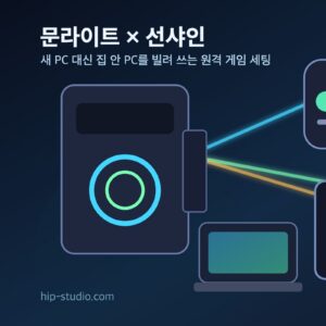 문라이트 선샤인 원격 게임 스트리밍 세팅 일러스트