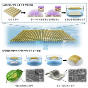 금속 박막 나노구조 수중 부유 기술 및 전사 공정 모식도. KAIST